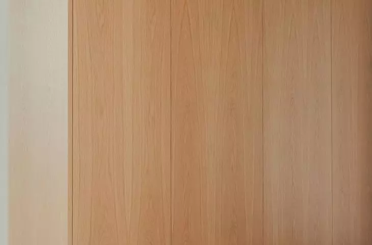 Fragment of furniture development
