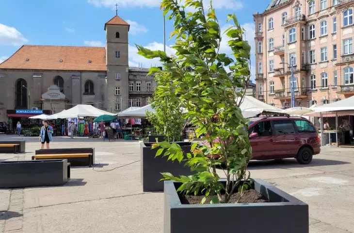 Plac Bernardyński w Poznaniu - przemiana targowiska w przestrzeń wielofunkcyjną