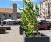 Plac Bernardyński w Poznaniu - przemiana targowiska w przestrzeń wielofunkcyjną