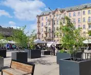 Plac Bernardyński w Poznaniu - przemiana targowiska w przestrzeń wielofunkcyjną