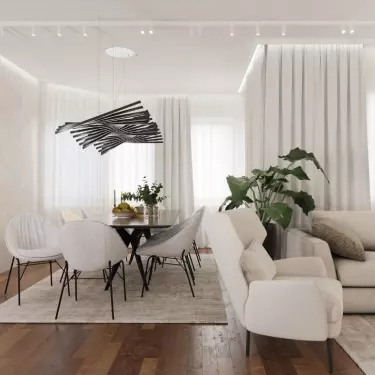 Living room and dining room