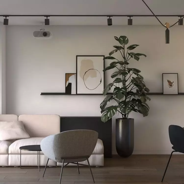 Living room combined with dining room