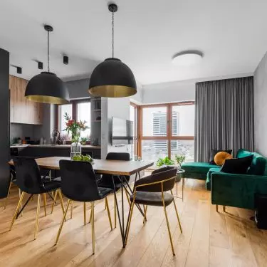 Living room and dining room