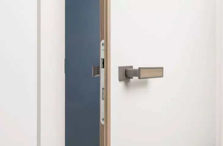 Modus door with edging made of material resembling natural plywood