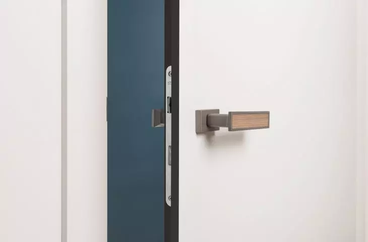 Modus door in anthracite edged version