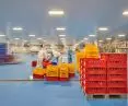 industrial floors in food plants