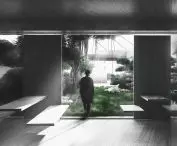 The main garden in the designed building