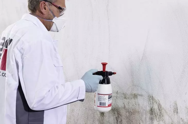 For ordinary dirt, simply apply a facade cleaner to the wall surface, wait a few minutes and rinse off 