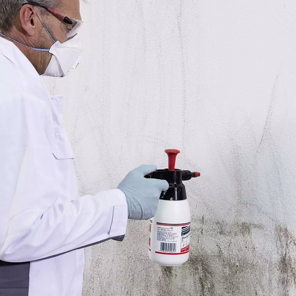 For ordinary dirt, simply apply a facade cleaner to the wall surface, wait a few minutes and rinse off 