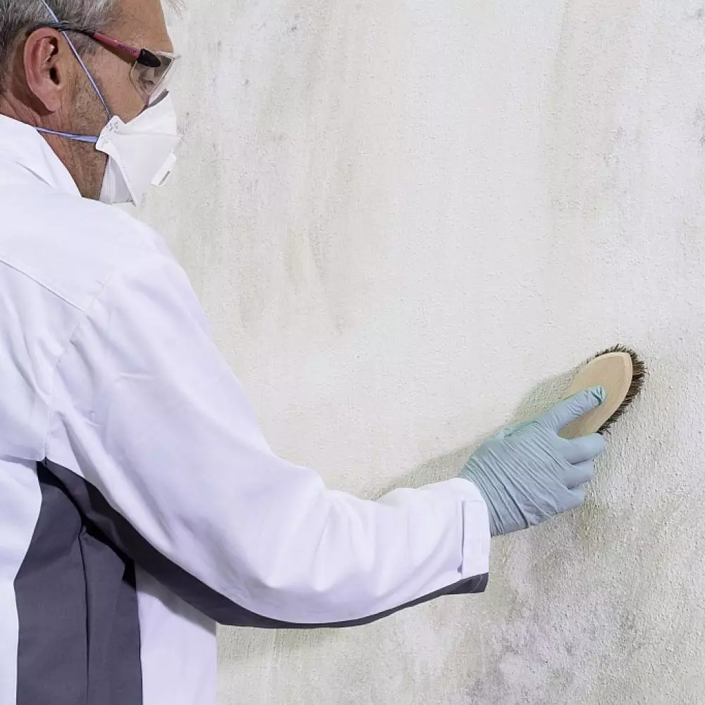 Cleaning the facade from algae and fungi