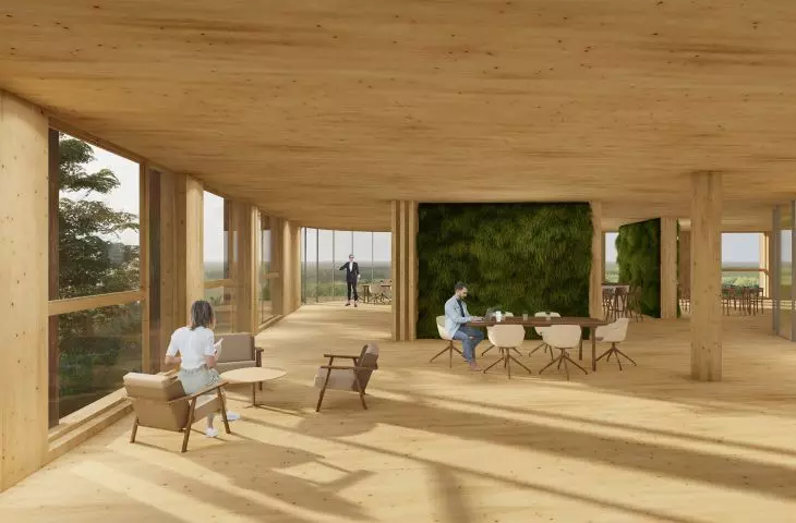 The author introduced green walls in the interiors of an office building