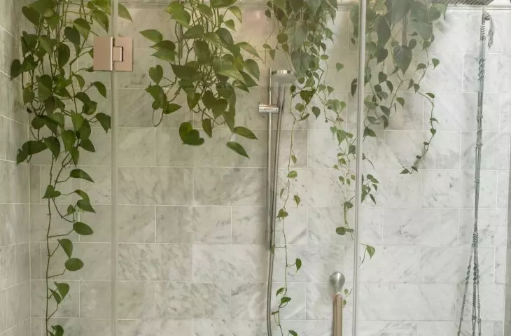 Vines will decorate the shower wall 