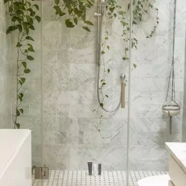 Vines will decorate the shower wall