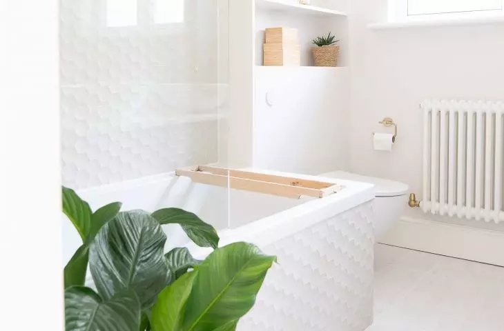 We can also put some smaller and larger plants in the bathroom 