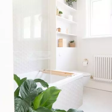 We can also put some smaller and larger plants in the bathroom