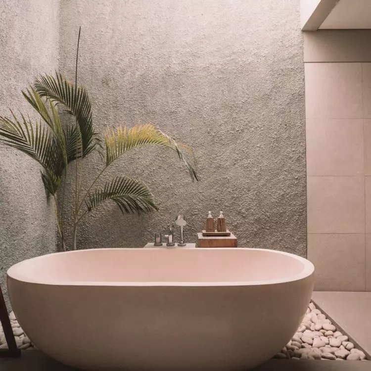 Palm tree will feel great in a humid and sunny bathroom