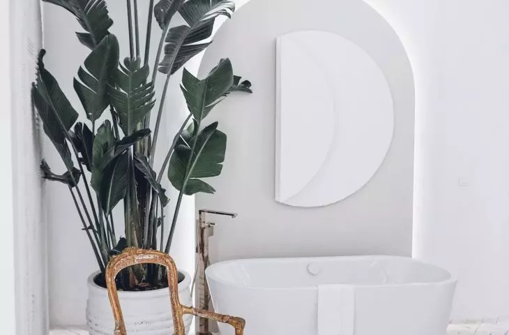 A large plant will become the focal point of the interior