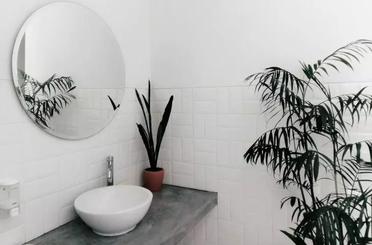 Green plants will enliven a monotonous space
