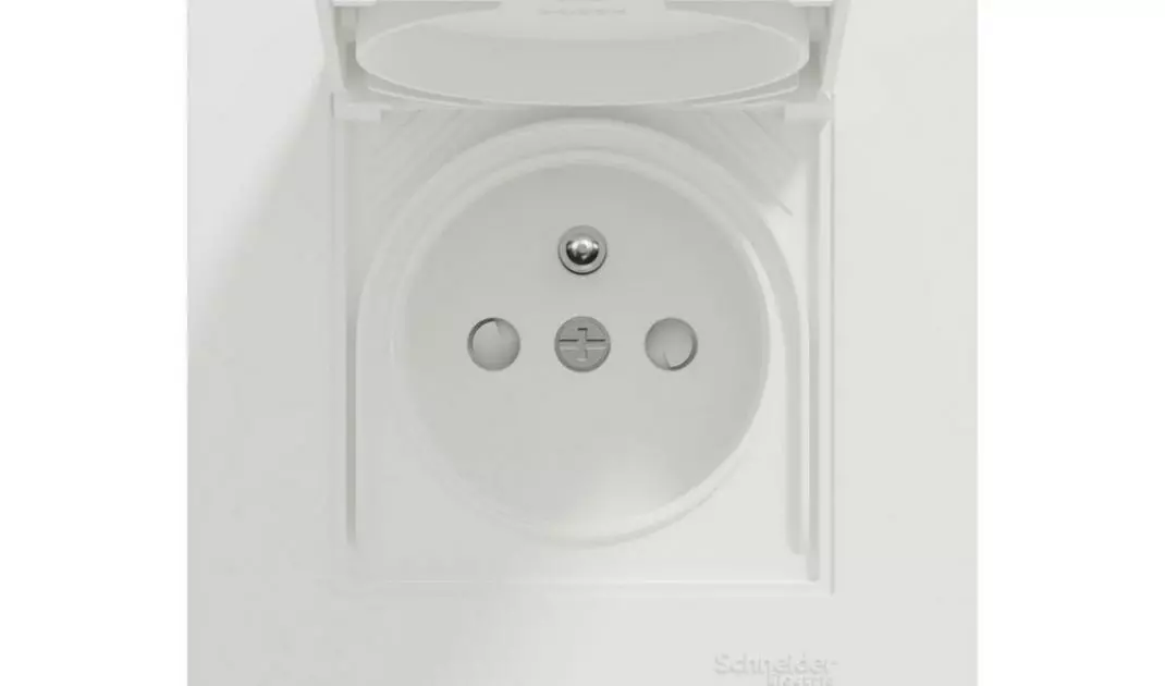 Electrical socket protected by a flap