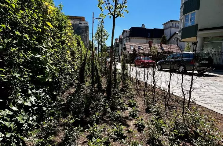 Woonerf na ulicy parkowej