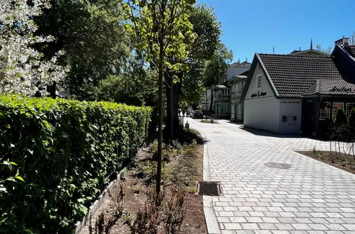 Woonerf na ulicy parkowej