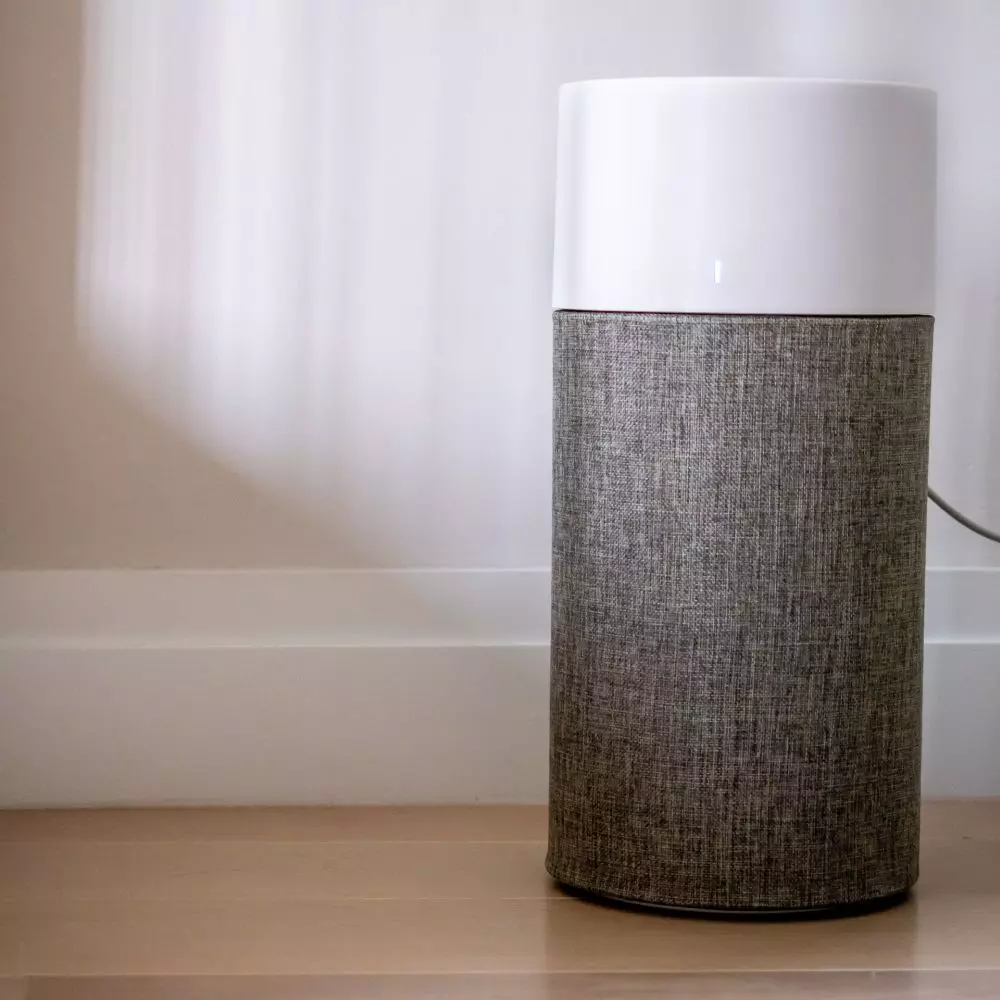 Air purifier minimizes allergy symptoms