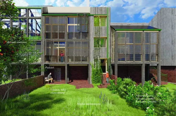 visualization, backyard