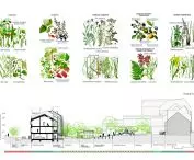 vegetation