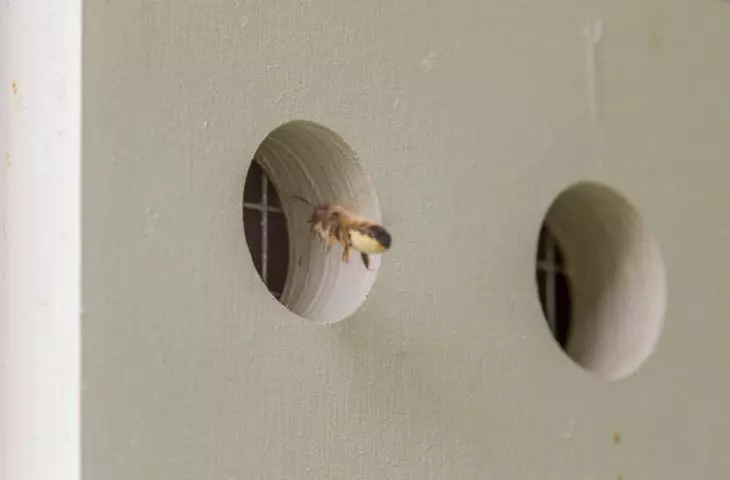 Insect hotels by Traffic Design