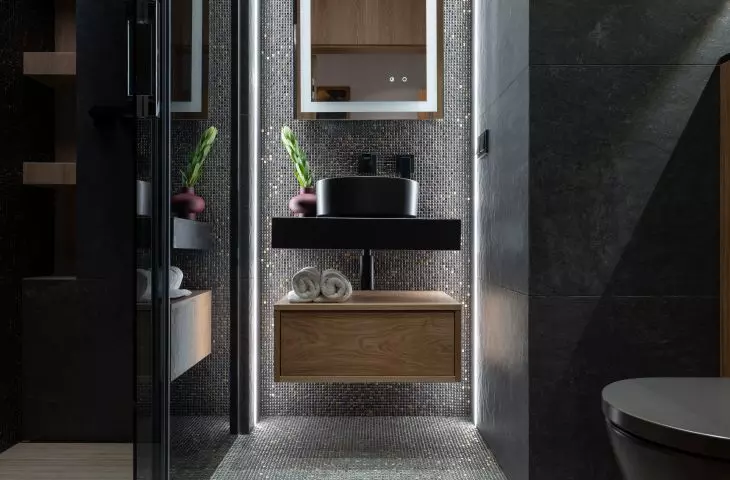 first toilet