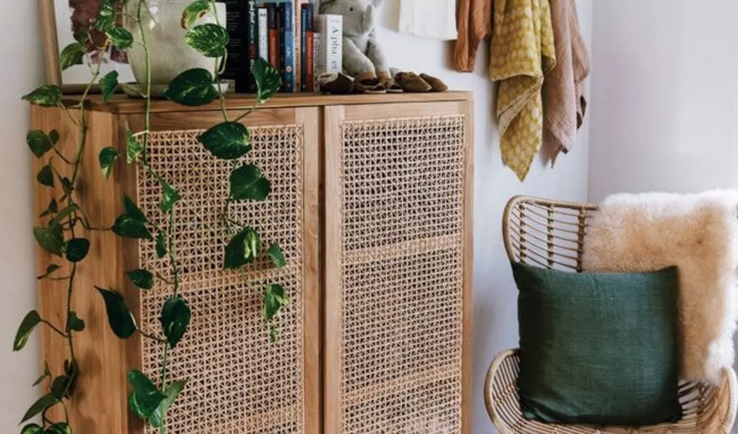 Cabinet with rattan facade