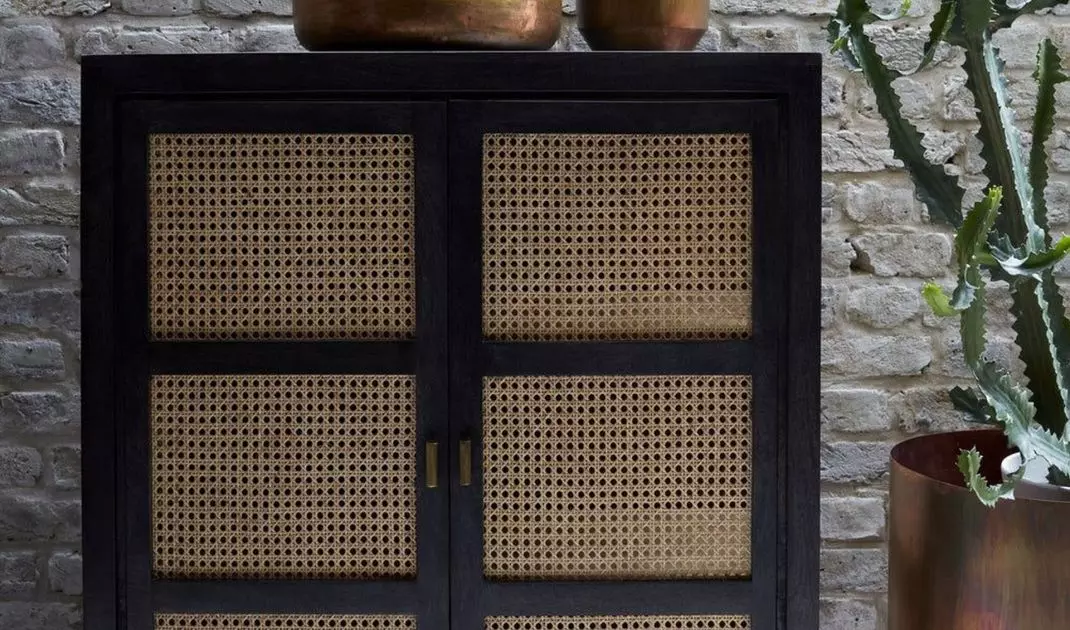 Rattan cabinet in a black frame