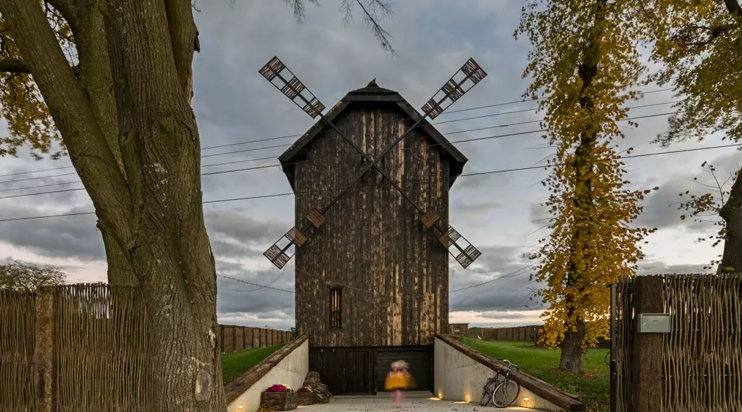 Nagroda Publiczności