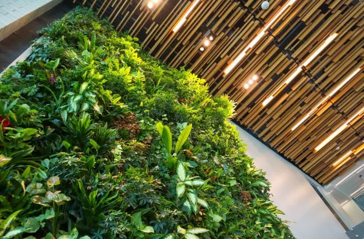 In larger rooms, a vertical garden will be ideal 