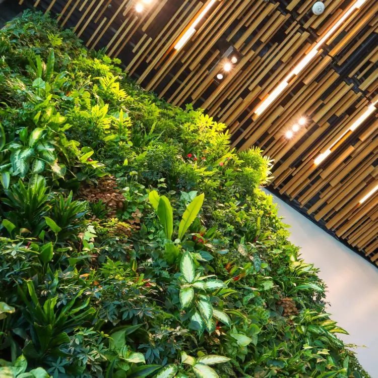 In larger rooms, a vertical garden will be ideal