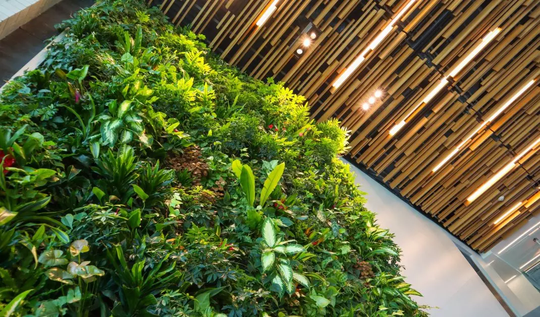 In larger rooms, a vertical garden will be ideal 