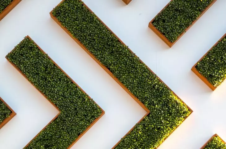 Green wall can be made of moss, grass or flowers