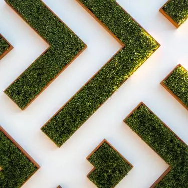 Green wall can be made of moss, grass or flowers