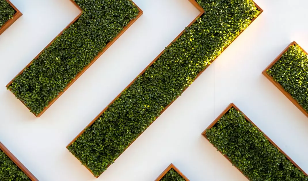 Green wall can be made of moss, grass or flowers