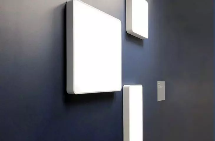 Draco Deco