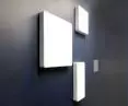 Draco Deco