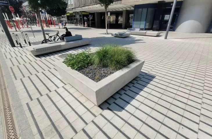 samotna donica z niską zielenią na ulicy Święty Marcin (2019)