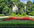arranged greenery