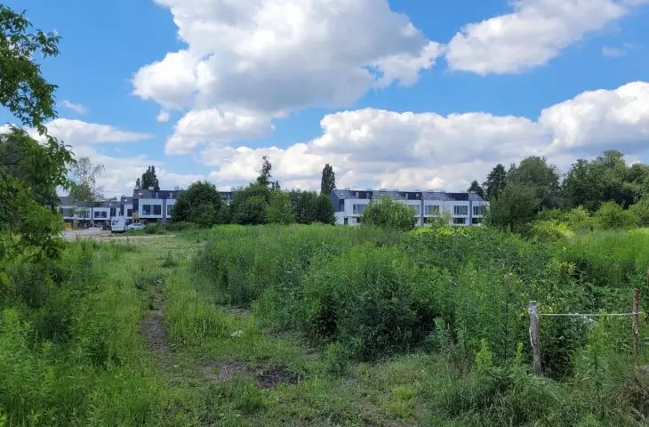 Poznań Podolany, „dzika zieleń”