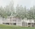 Biblioteka otoczona jest lasem
