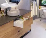 Bathroom - trap cover