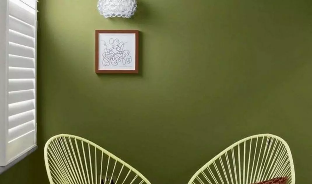 An armchair resembling an avocado fruit in form