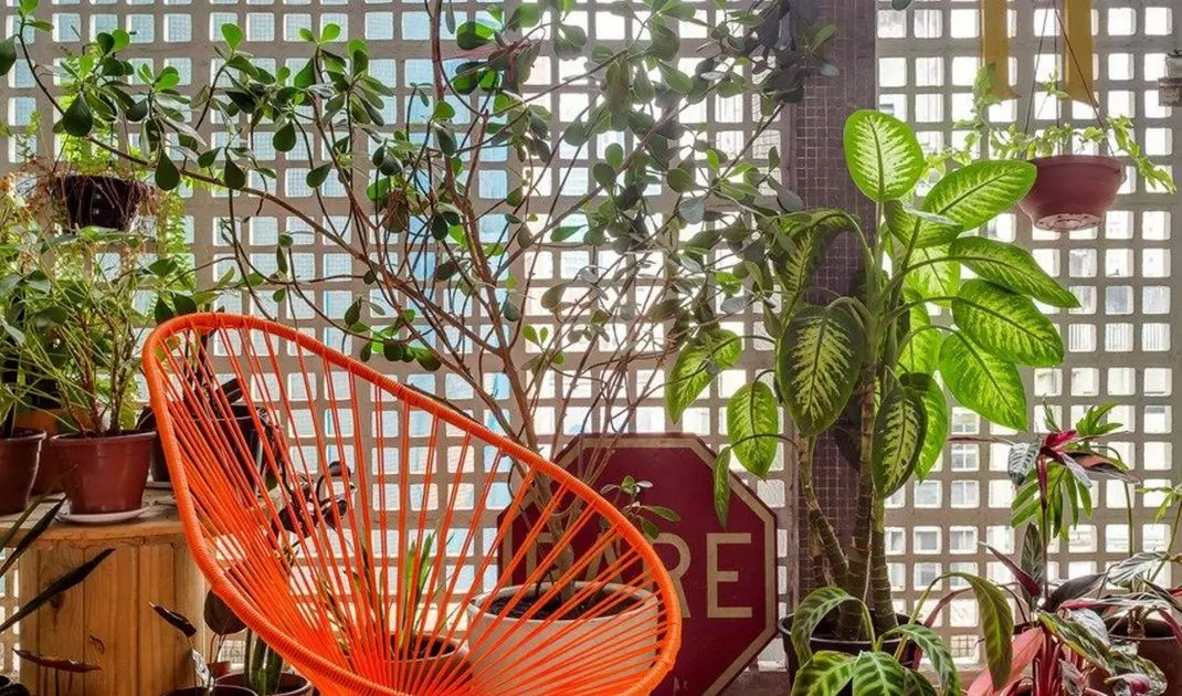An armchair resembling an avocado fruit in form
