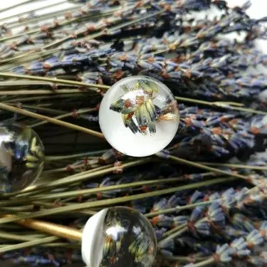 Furniture knob with lavender 