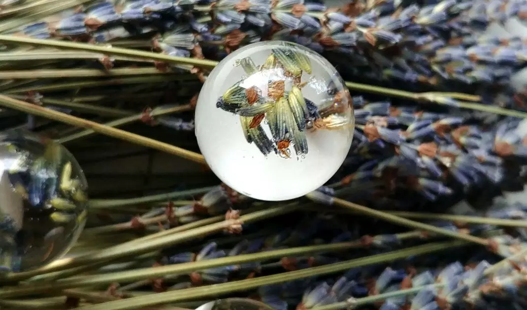 Furniture knob with lavender 